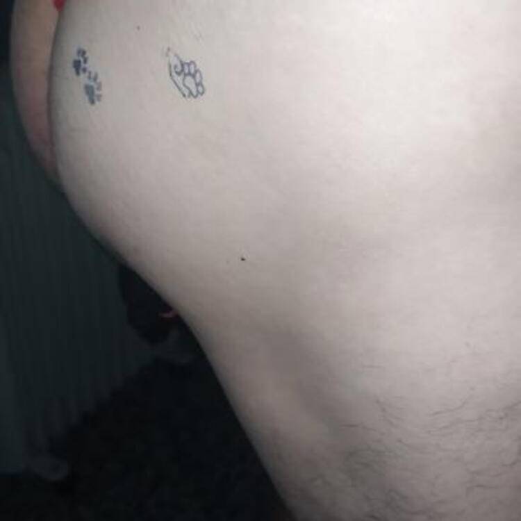 Foto de perfil de Raúl