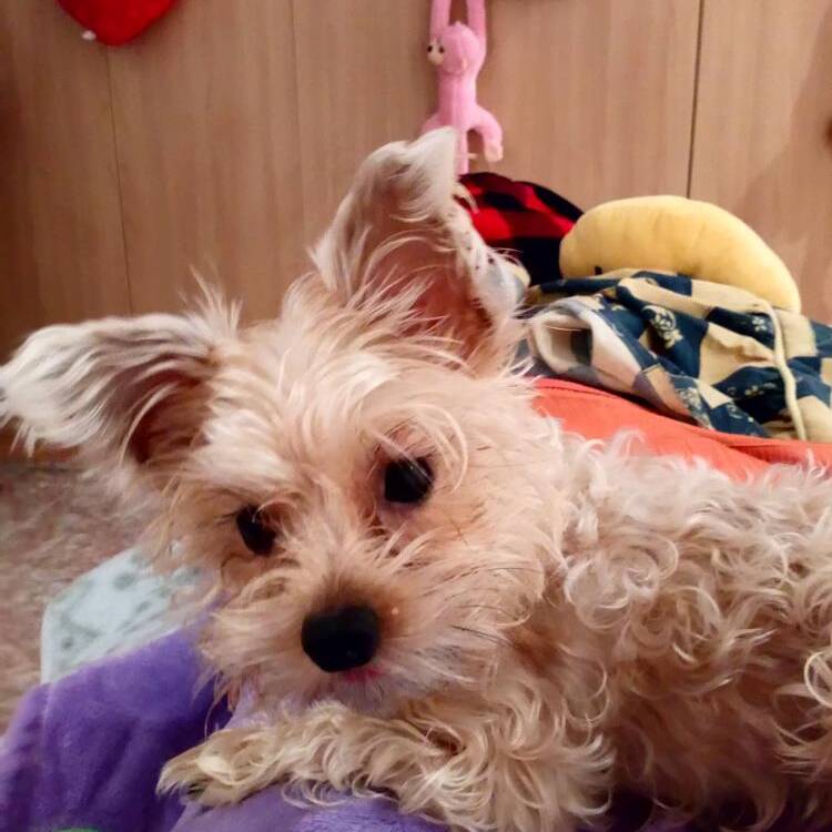 Foto de perfil