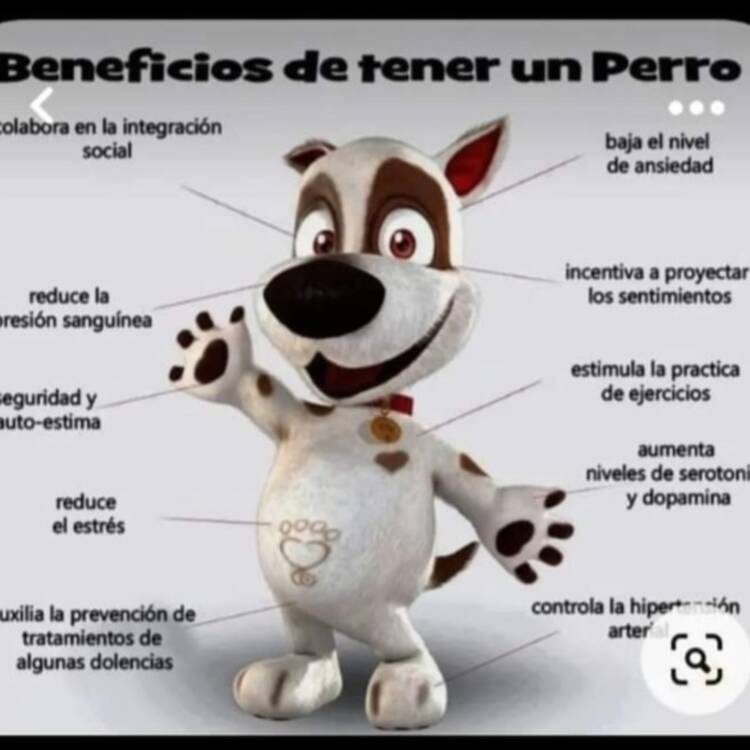 Foto de perfil de ana