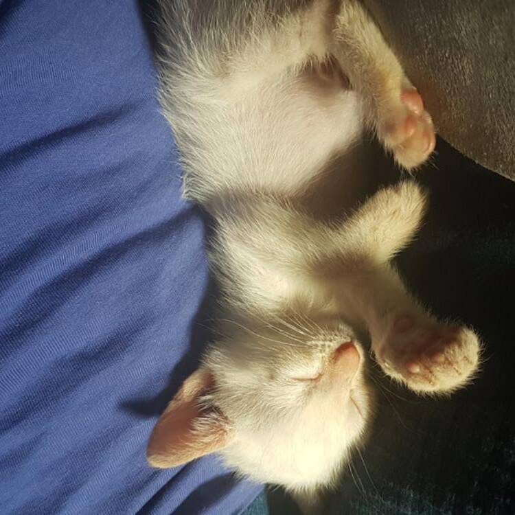 Foto de perfil