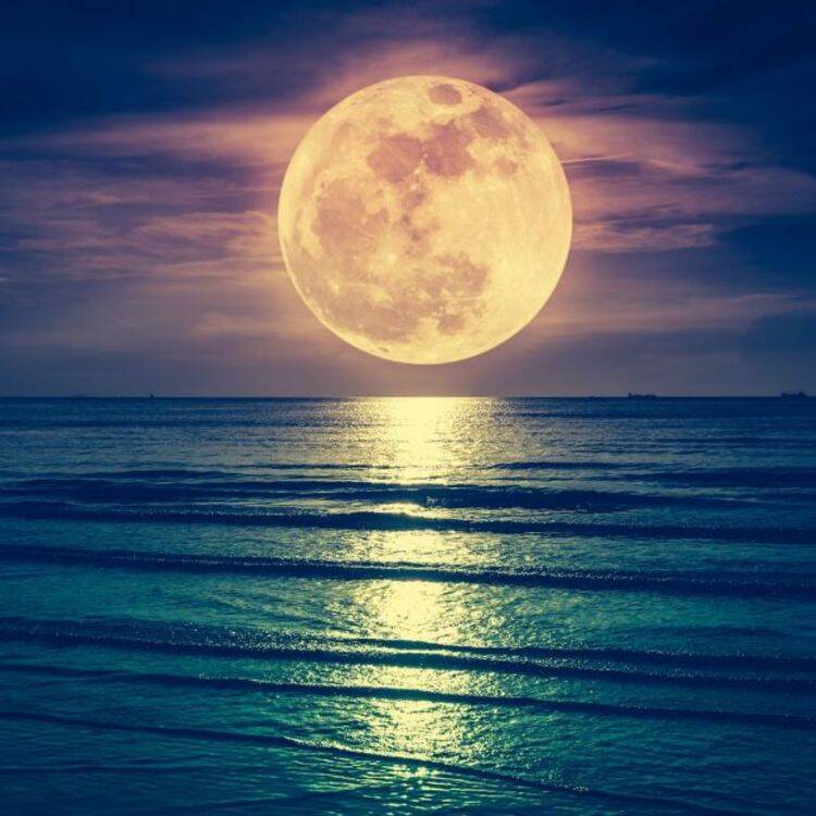 Foto de perfil de Luna