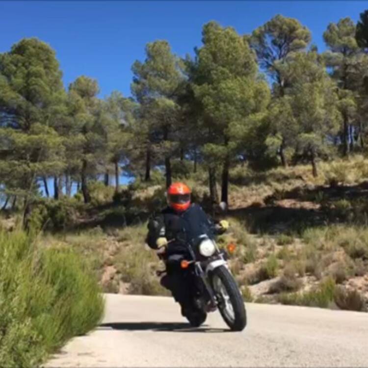 Foto de perfil