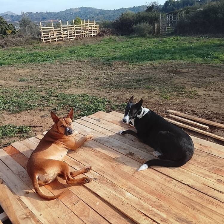 Foto de perfil de Tierra