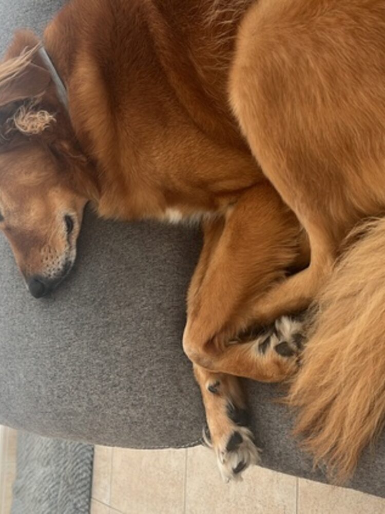 Foto de perfil de Blanca