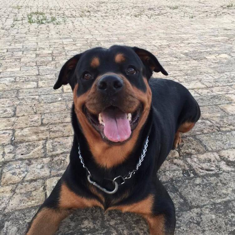 Foto de perfil
