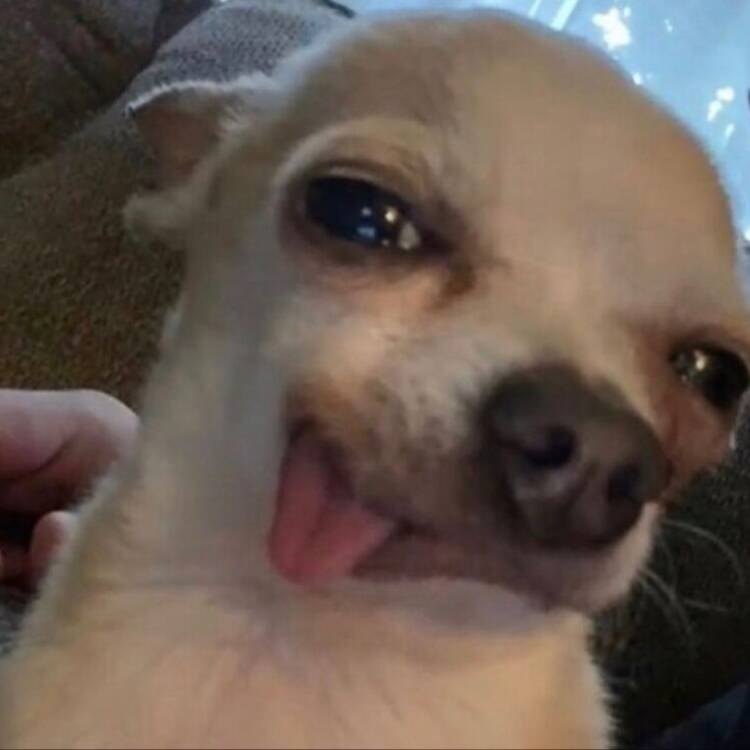 Foto de perfil de daniela