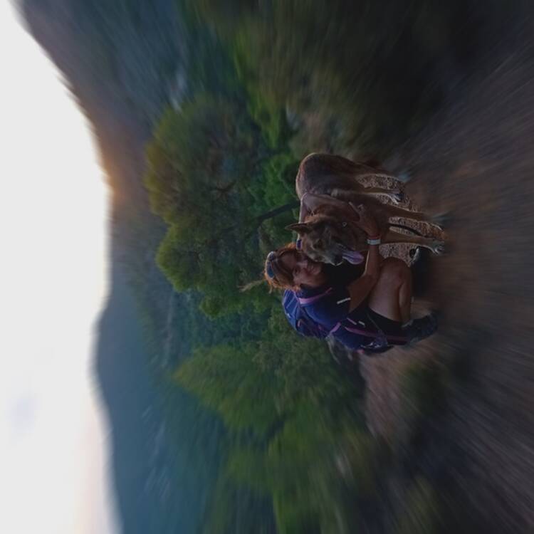 Foto de perfil de Pilar