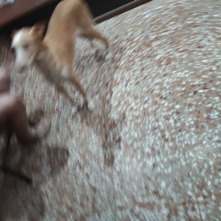 Foto de perfil de Toni