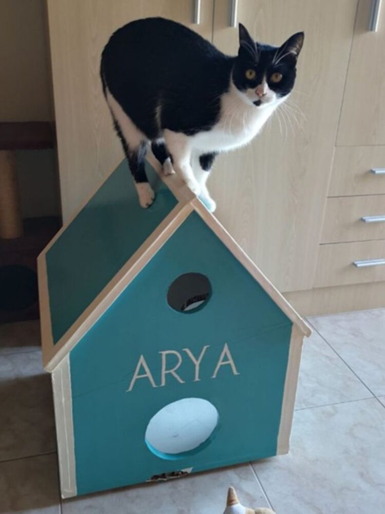 Foto de perfil de Yihi