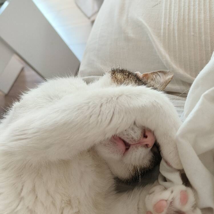 Foto de perfil de Alicia
