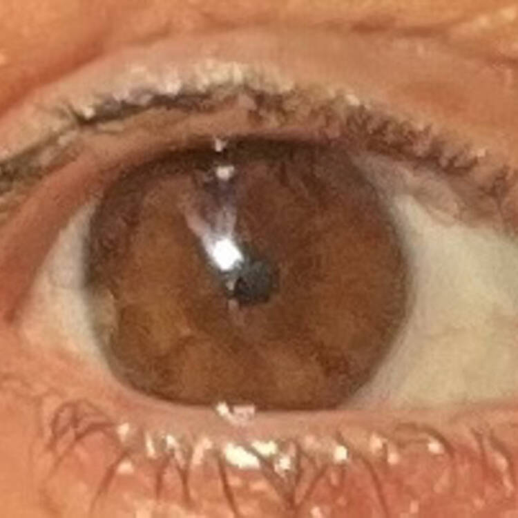 Foto de perfil de Alicia