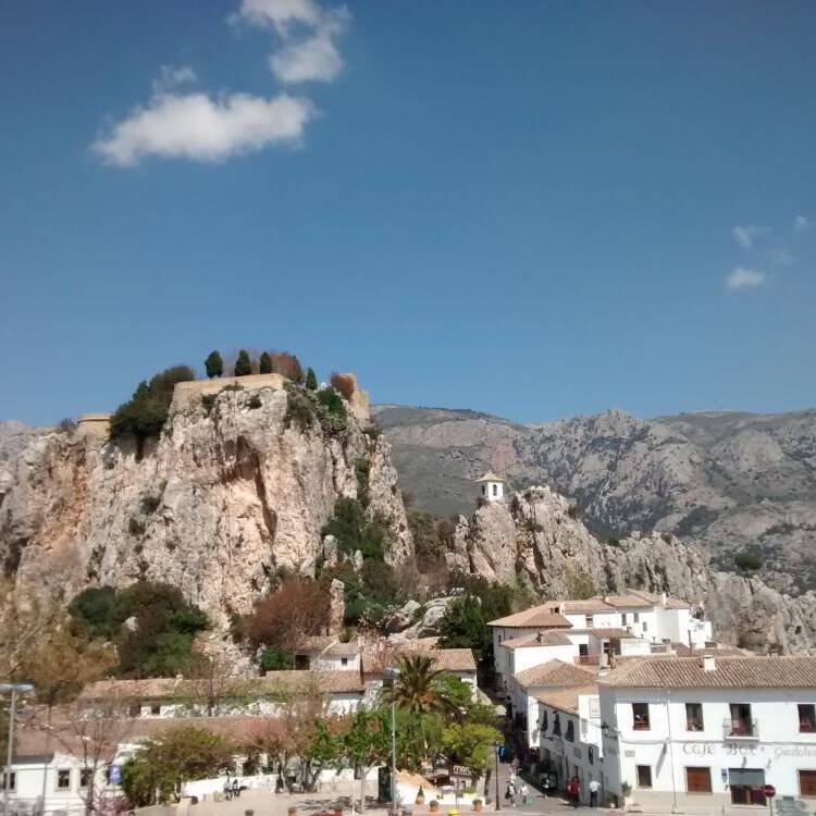 Foto de perfil