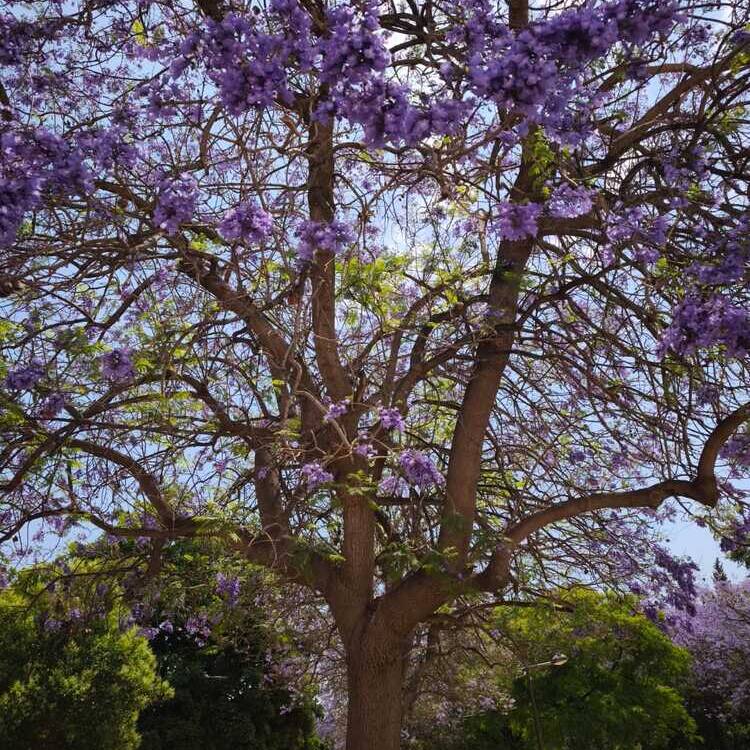Foto de perfil de Kelyn