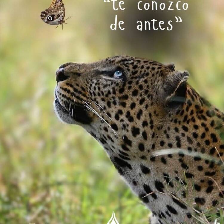 Foto de perfil de María