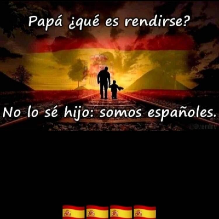 Foto de perfil de Jose Luis