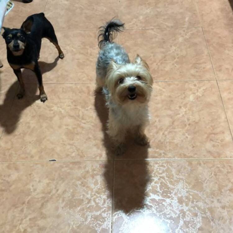 Foto de perfil