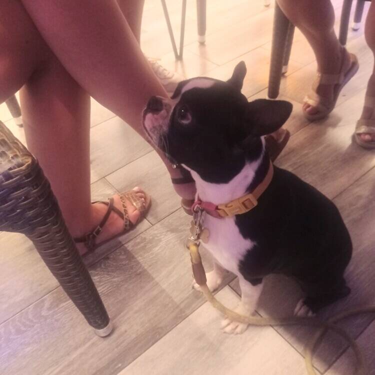 Foto de perfil