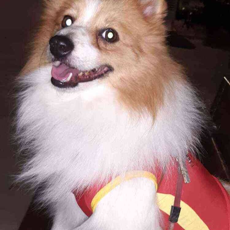 Foto de perfil de Loles