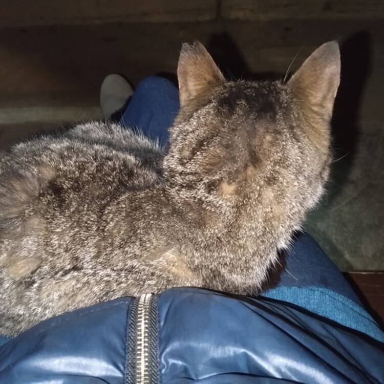 Foto de perfil