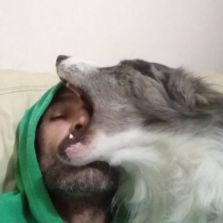 Foto de perfil