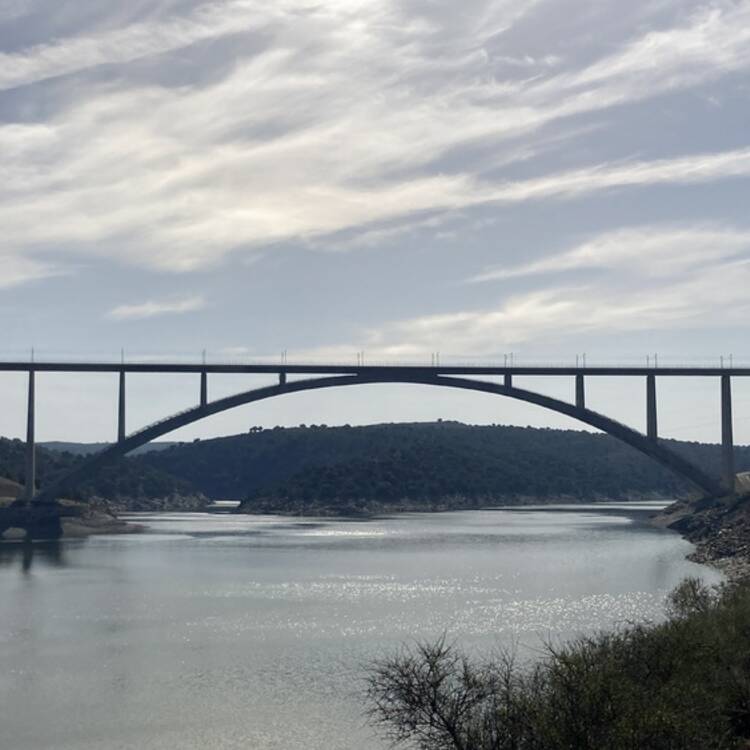 Foto de perfil de Modesto