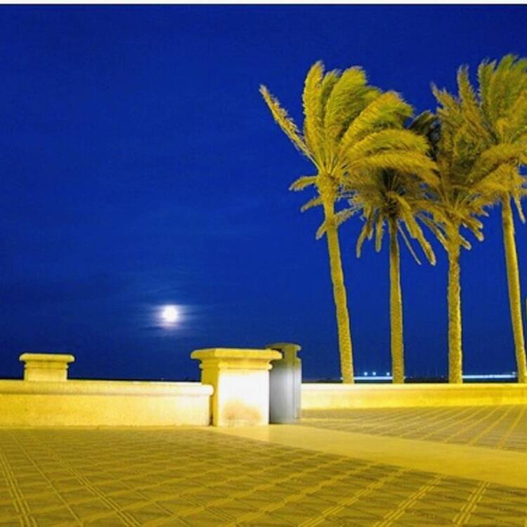 Foto de perfil de José
