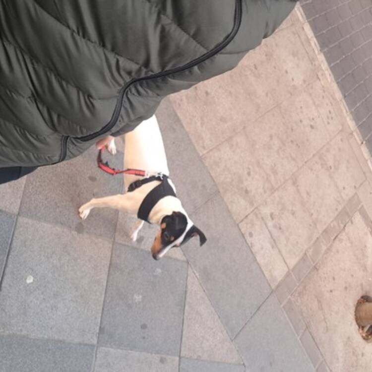 Foto de perfil de Gabri