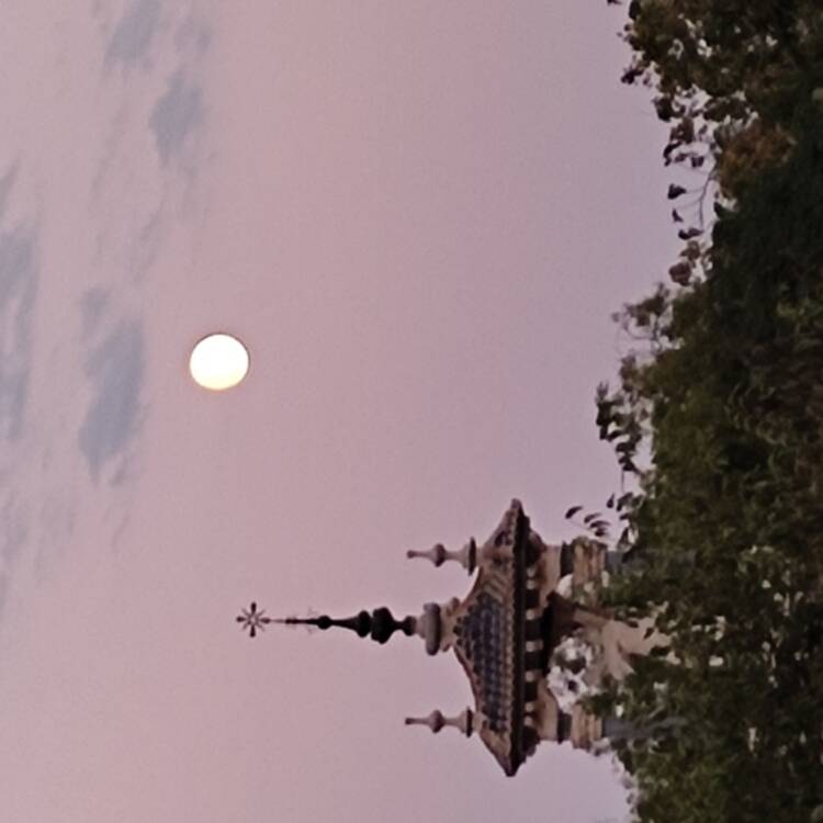 Foto de perfil
