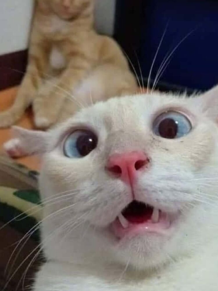 Foto de perfil de Berta