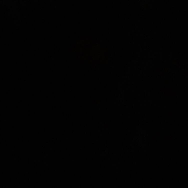 Foto de perfil de Noelia