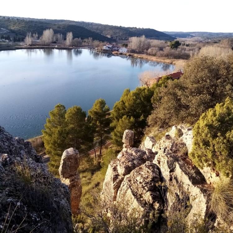 Foto de perfil de Lara