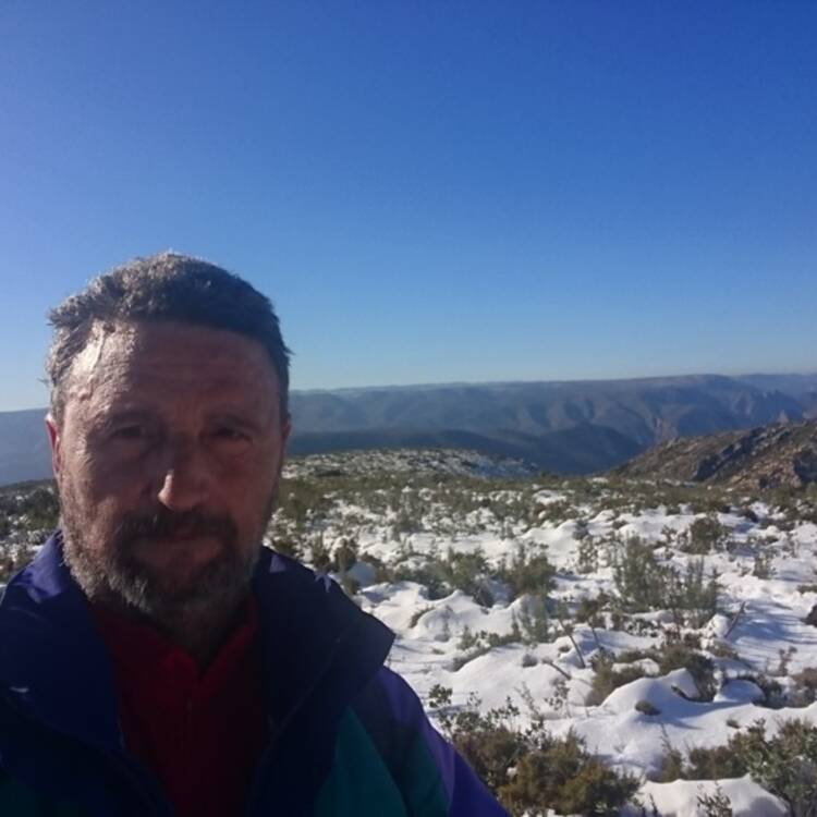 Foto de perfil