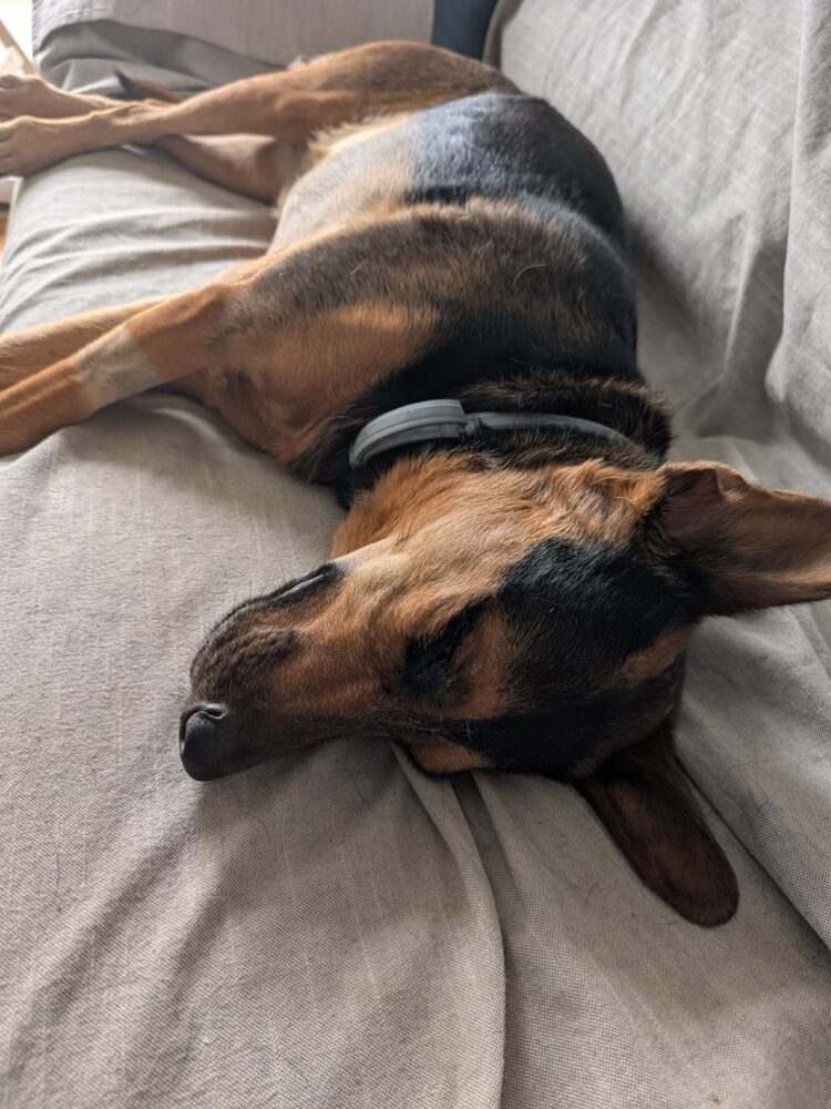 Foto de perfil de Carmen