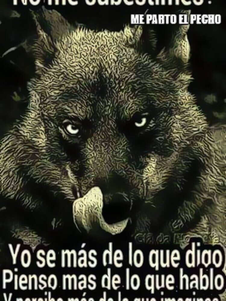 Foto de perfil de manu