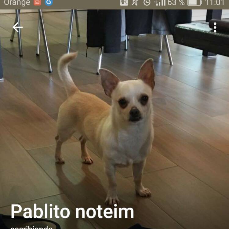 Foto de perfil