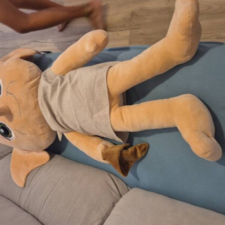 Foto de perfil