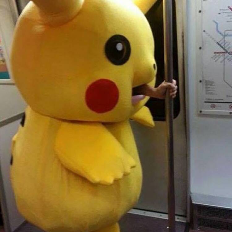 Foto de perfil