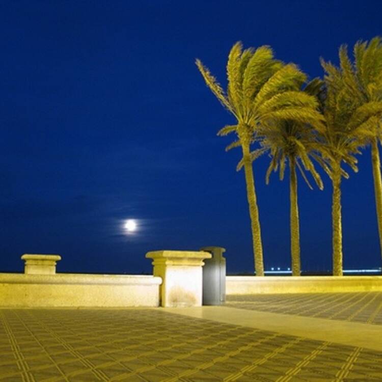 Foto de perfil de José