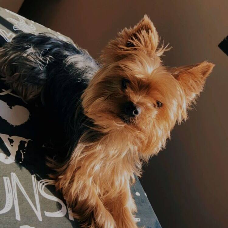Foto de perfil