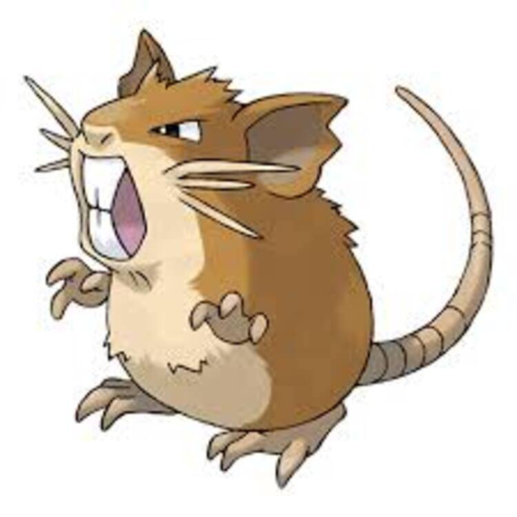Foto de perfil de Ramon