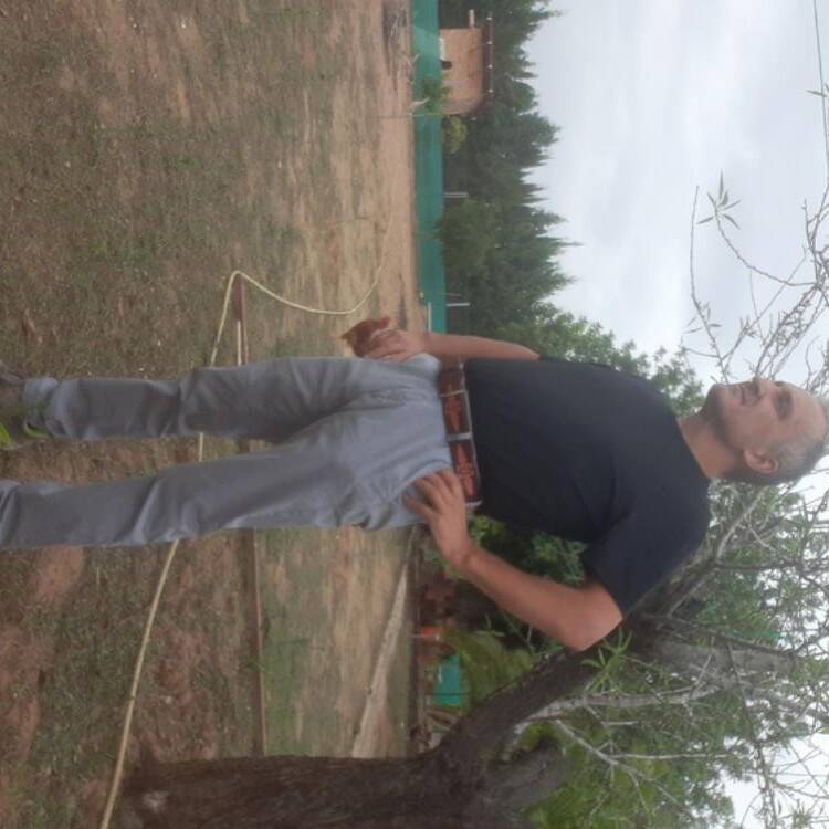 Foto de perfil