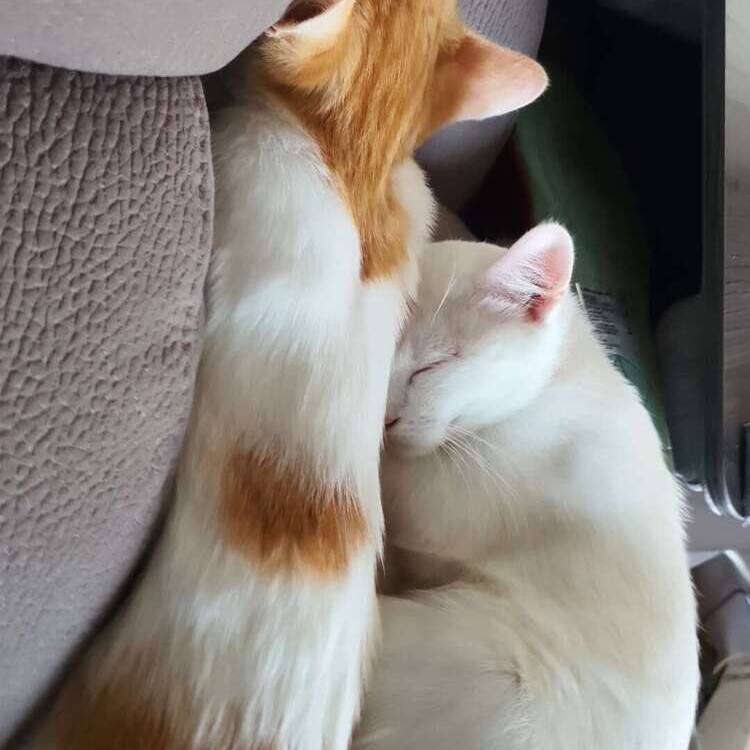 Foto de perfil de ra
