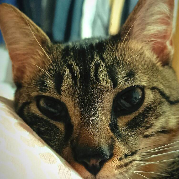 Foto de perfil de Andres