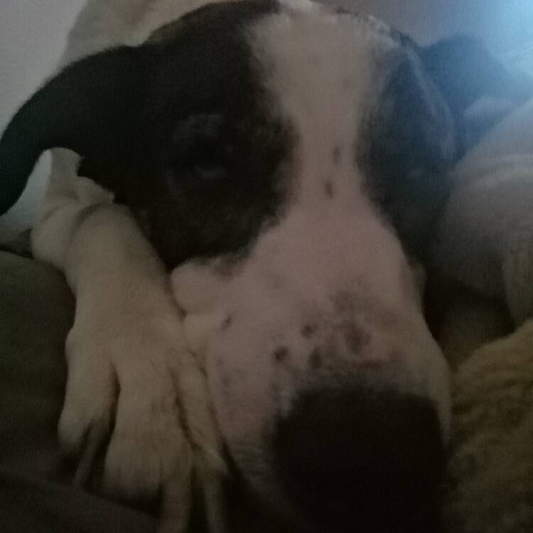 Foto de perfil de Maria