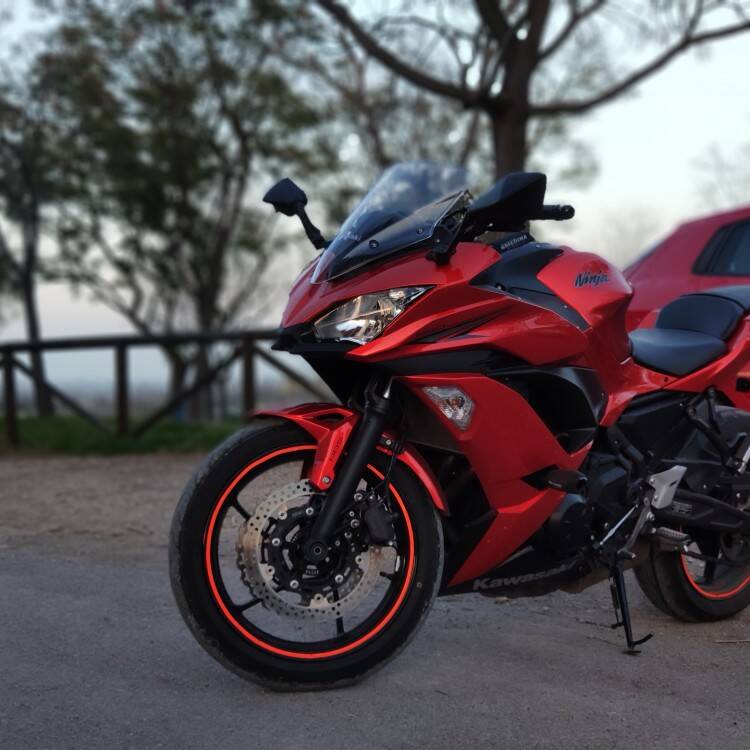 Foto de perfil