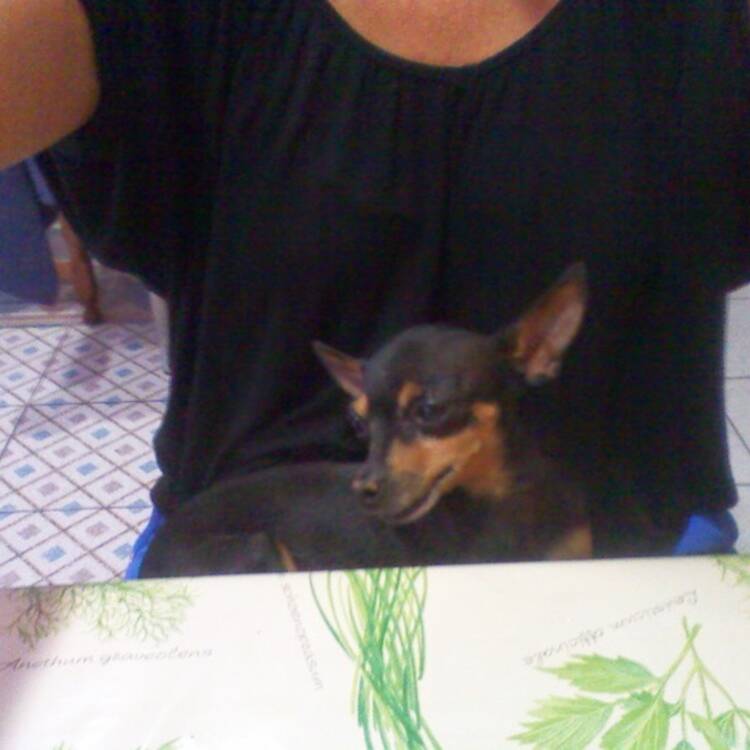 Foto de perfil
