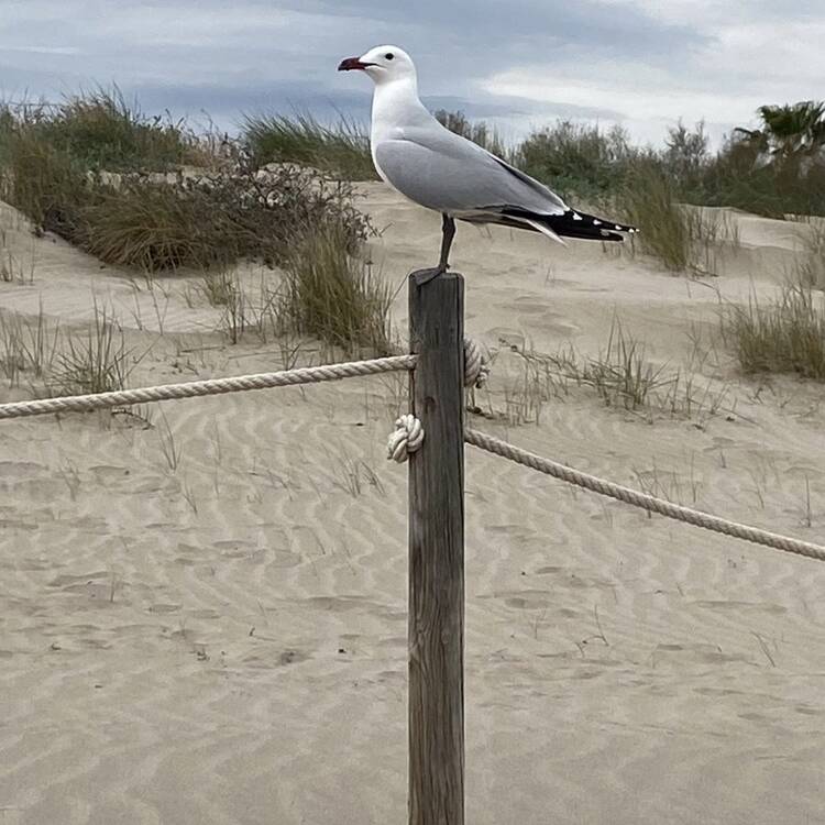 Foto de perfil de Paco