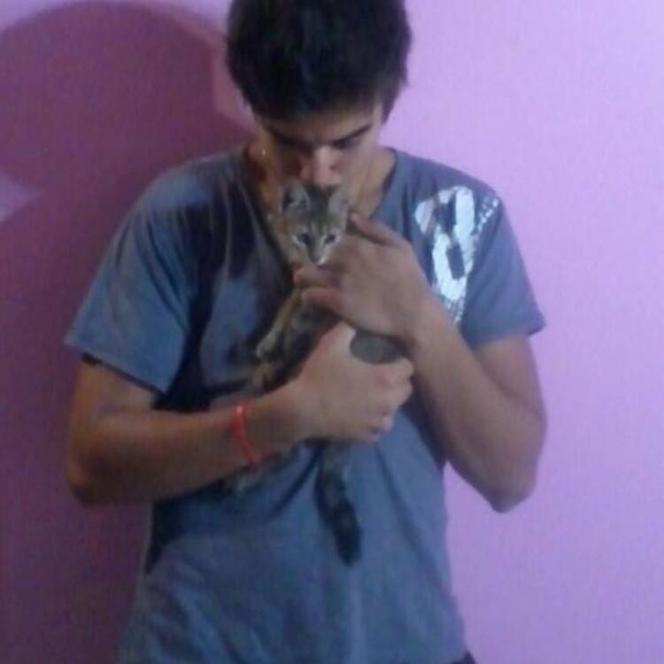 Foto de perfil de Ferdinand