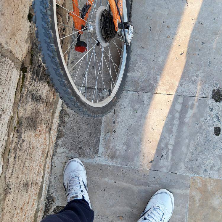 Foto de perfil