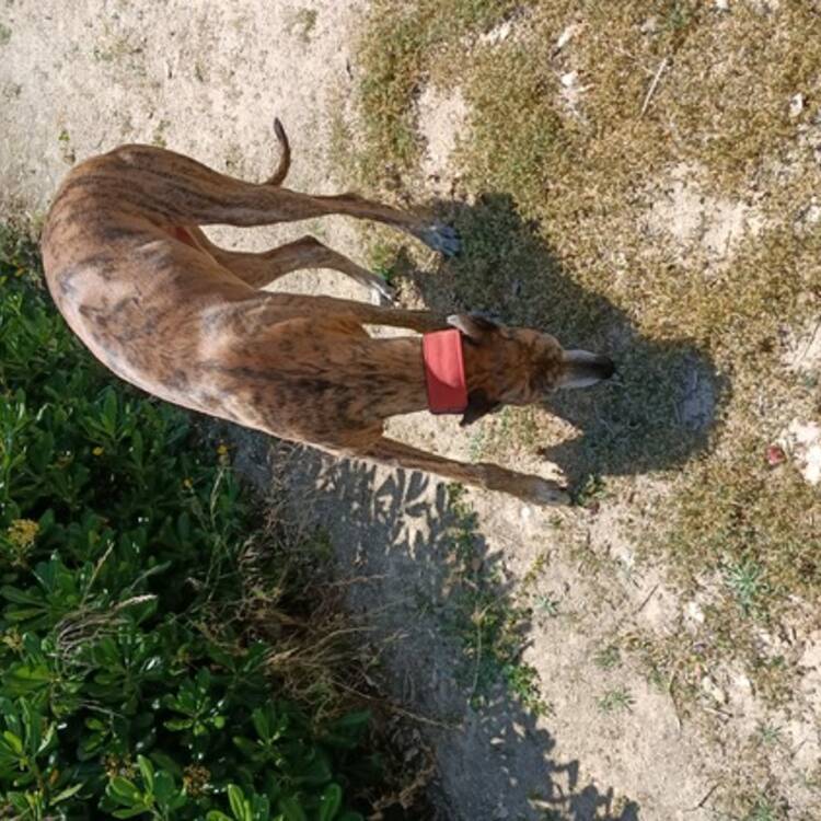 Foto de perfil de Juan
